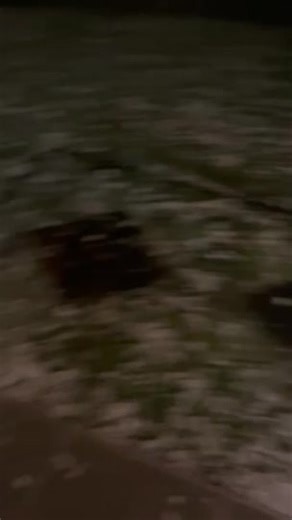 Hail at Shailer Park