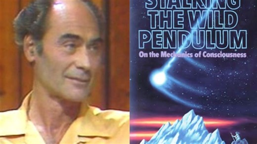 伊扎克·本托夫《追踪狂野钟摆：意识力学》序言