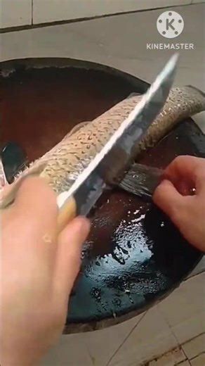 Amazing Fish Cleaning Skills l 😍 l #shorts #viralshorts #fishcutting #tutorial
