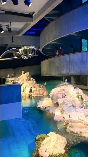 🐟 New England Aquarium