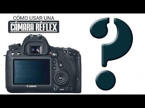 ¿Cómo usar una cámara réflex?