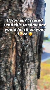 I bet you won’t 😜😂 Use code “ Carbonmk7 “ for 15% OFF at Sunsetstance.com • • • ➡️ Follow @Mk4j_ for more daily reels ⬅️ #germancars #relatable #carswithoutlimits #mk7r #carmemes #vw #carsofinstagram #reelsofinstagram #reelsofinstagram | Troy William Turner