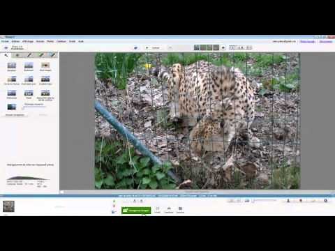 Redimensionner une image avec picasa