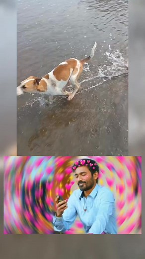 37K views · 2.4K reactions | 藍藍藍❤❤ | Memes Tamil | Facebook