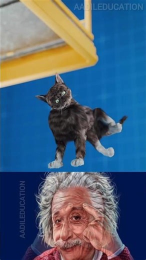 Sigma physical science 🗿 #shortsviral #shorts #physics #sigma #physicsfacts