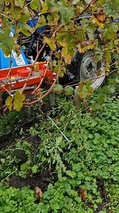 Expo singolo con tastatore oscillante per viti irregolari. #Viticoltura #agricoltura #arrizza #bio | Arrizza Srl