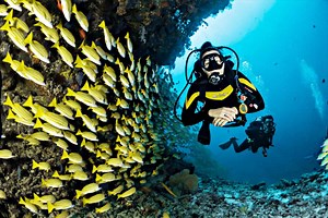 10 Badass Female Scuba Divers to Follow for Diving Inspiration