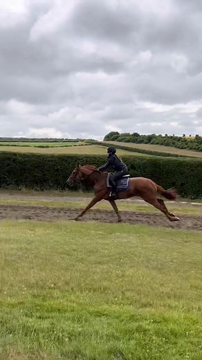 A change of speed today 😉 Reaching 38mph 🔥#fyp #racing