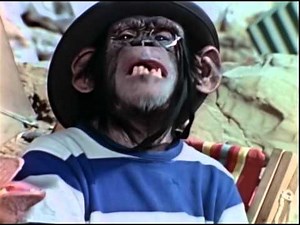 Lancelot Link: Secret Chimp 30 sec May 29th