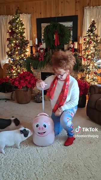 Love Adventure Awaits on TikTok