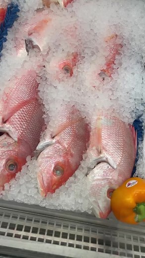 COCONUT STEAME RES SNAPPER OVER RICE WITH VEGETABLES AND FRIED PLANTAINS BOOK ME FOR THE BEST FOOD AROUND..REALLY APPRECIATE THE SUPPORT…..#blackfoodie #foodreels #reelsexplore #recipe #recipes #instachef #danburychef #expolerpage #datenight #chicken #rice #goodeats #ctchef #deliciousfood #love #food #goodvibes #instagood #beauty #jamaica #foodstagram #healthyfood #foodlover #redsnapper | Opals Kitchen Ct
