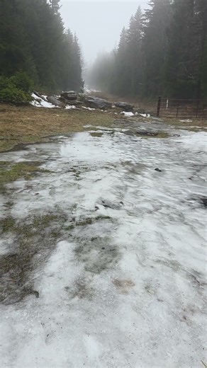 Video of Canaan Loop Road, WV from Ric M.