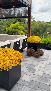 Comment PLANTER Love using planters to elevate my outdoor space! #planter #mums #fallflorals #fallflowers #patiodecor #patioideas #backyardideas #backyarddesign #outdoordesigns #pergoladesign #planterbox #backyardoasis | Islandgal Home Decor