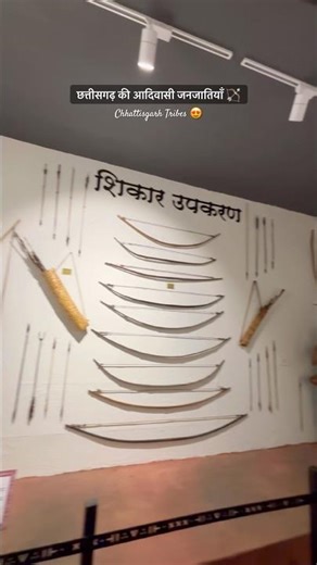 छत्तीसगढ़ की आदिवासी जनजातियाँ 🏹| Chhattisgarh Tribal Museum #youtubeshorts #chhattisgarh #aadivasi