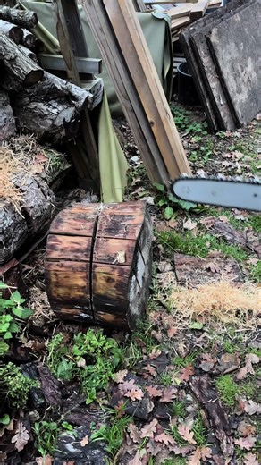 Affûtage Agressif de Outils de Jardinerie