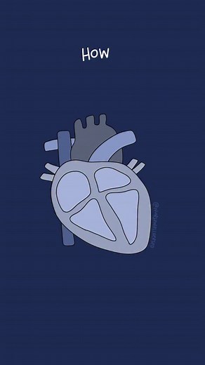 110K views · 9K reactions | How Cardiac Conduction Works 變 In order...