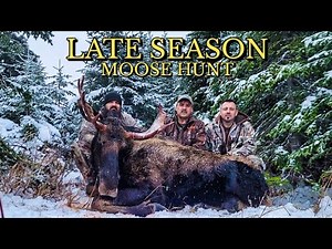 LATE SEASON NEWFOUNDLAND MOOSE HUNT! Big Bull Down at 85 Yards! (2024)