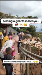 146K views · 2.1K reactions | Wild mzungu kissing madam giraffe in...
