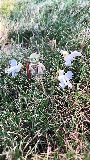 Seagulls, stop it now!