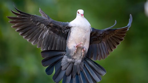 Sony vs Canon vs Nikon: Which Mid-Range Camera Is Best?