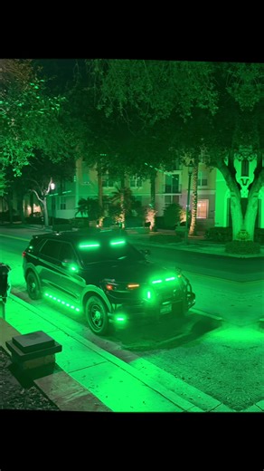 Capital Green Private Security Services Overview