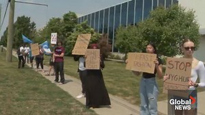 Shopping Shein? Fast-fashion brand under scrutiny for forced labour, environmental impact