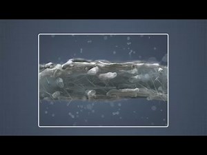 Common Physical Tests for Paper and Board