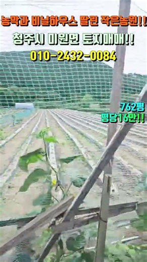 [청주토지매매]농막과 비닐하우스 딸린 작은 농장!! 청주시 상당구 미원면 성대리 토지매매!!,#청주토지매매,#미원면성대리토지매매
