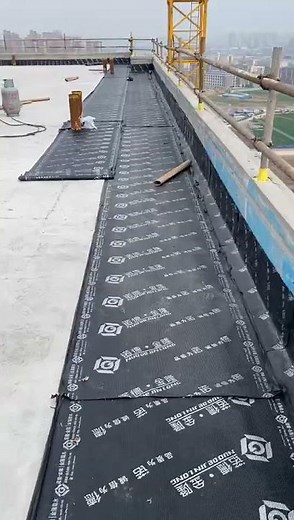 How to apply membrane to the roof waterproofing by SBS membrane &liquid membrane？ #roofingrepair