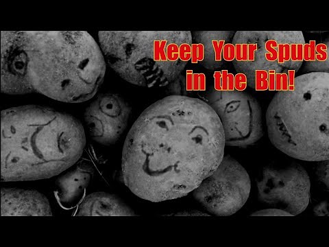 How to Build a Potato Bin | Storing Potatoes | Storing Root Vegetables