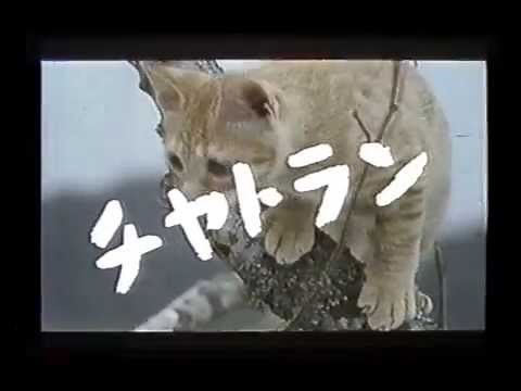 映画予告編 子猫物語