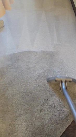 🚨 Thanksgiving Carpet Cleaning Special! 🚨 Before Aunt Karen “accidentally” drops her gravy boat again... 🫠 Get your carpets ready for the feast with our 2 Rooms for $99 deal (up to 200 sq ft per room additional square footage only $0.25 cents per square feet)! Let’s make sure your home smells like pumpkin pie — not last year’s turkey juice. 😅 light to medium soiled heavily soiled carpets can be an extra charge. 📞 Call us today before your carpets start talking back! Call 847-227-8843 or vis