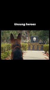 Story of four legged unsung heroes #indianarmy #dogs #doggo | Defence Direct Education