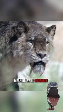 Prehistoric Planet Ice Age Trailer!