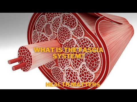 What is the Fascia System and why this is it so important to your body?