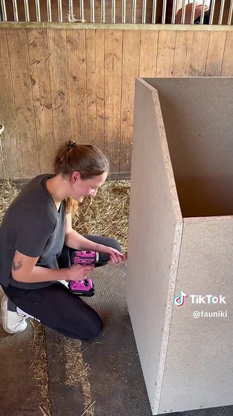 Futterkiste selber bauen für Pferdefutter-Liebhaber