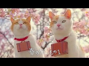 いいなCM　リクルート　じゃらん　にゃらん　2014 師匠と弟子の春の旅