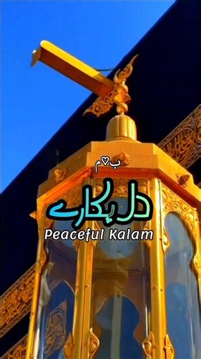 Dil Pukaray Allahu ❤️- Heart Touching Hamd 2024 - Most Beautiful Hamd e Bari - Merciful Nasheeds