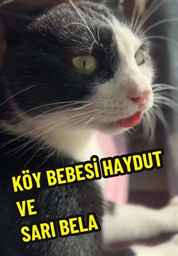 Köy Bebekleri Haydut ve Sarı Bela Halıyı Yerinden Söktü! 🤘🏻