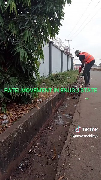 Understanding the Ratel Movement for a Better Tomorrow