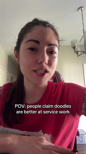 Why Doodles Aren't the Best Choice for Service Work