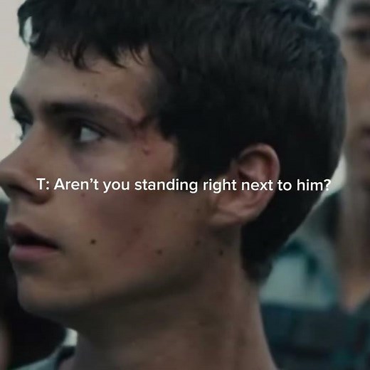 Maze Runner x Y/n