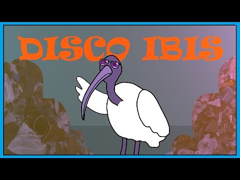 Ibis Song - Fun Song For Kids | Smiley Rhymes