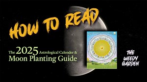 Understanding the basics and how to read the 2025 Astrological Calender and Moon Planting Guide by Thomas Zimmer. Now available on the weedy garden web shop: https://www.theweedygarden.com/2025-moon-planting-guide | The Weedy Garden