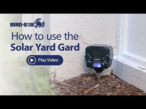 How to Use the Solar Yard Gard - The Solar-Powered Ultrasonic Pest Animal Repeller