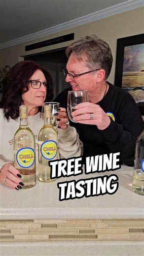 Tree Wine Tasting - Pine Needle Wine #wine #winetasting #howto #winemaking #winelovers #homemade