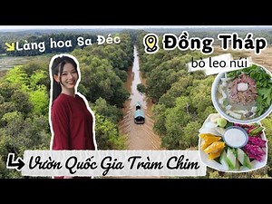 DU LỊCH ĐỒNG THÁP - VƯỜN QUỐC GIA TRÀM CHIM, LÀNG HOA SA ĐÉC, VƯỜN CHÀ LÀ | MIMI OFFICIAL