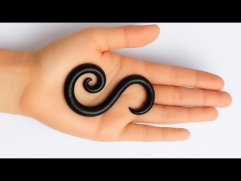 S Alphabet Mehndi Design | Easy & Beautiful Mehndi for Beginners