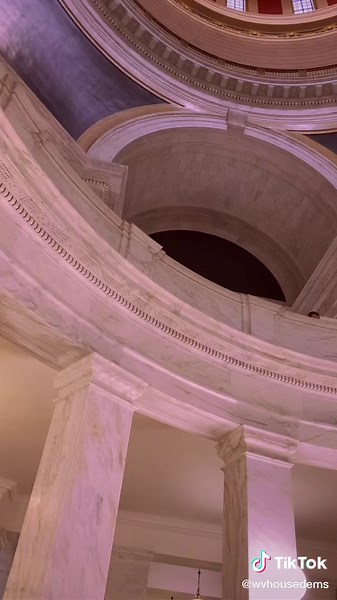 West Virginia House Democrats on TikTok
