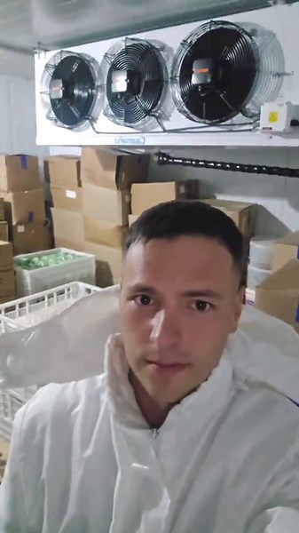 Cámara Frigorífica y Equipos de Compresor